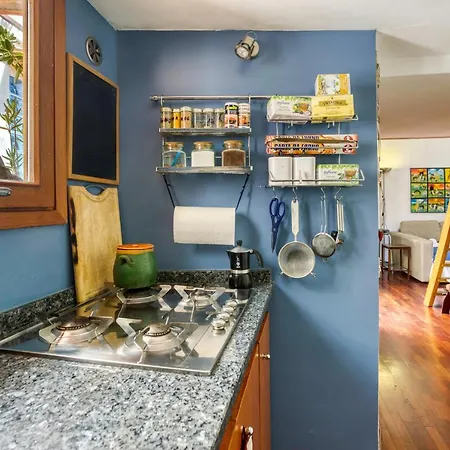 Maggiore 145 With Private Garden - Rione Monti * Roma