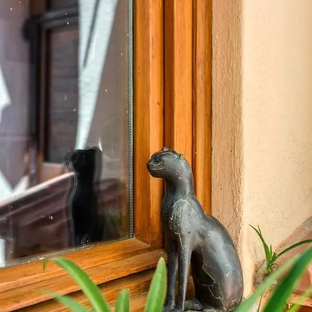 Maggiore 145 With Private Garden - Rione Monti Daire *